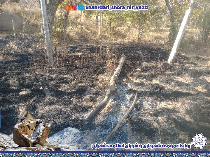 photo_2025-10-04_11-50-02