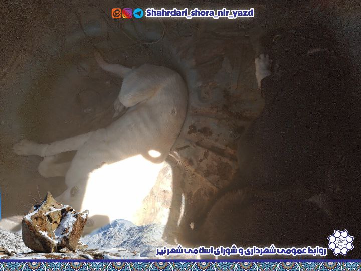 photo_2025-10-08_07-29-10